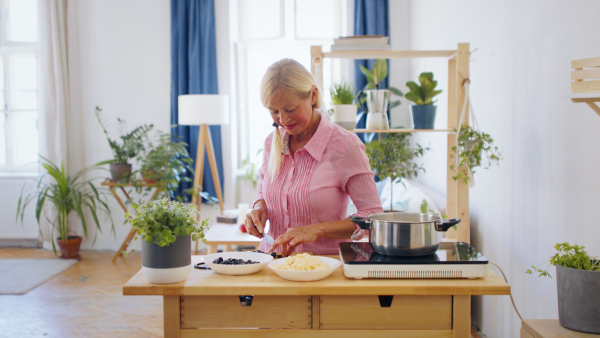 Front view of senior woman cooking in kitchen indoors, chopping food.