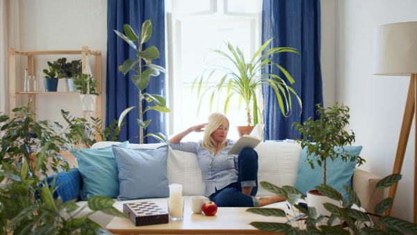 Front view of ttractive senior woman sitting indoors on sofa, reading book and relaxing.