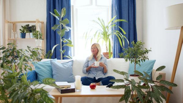 Happy attractive senior woman sitting indoors on sofa, relaxing with coffee.