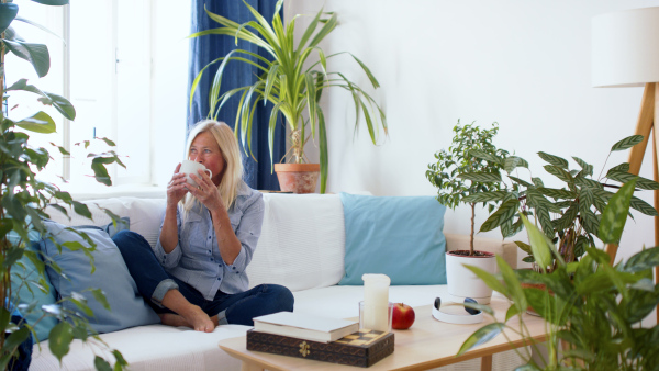 Happy attractive senior woman sitting indoors on sofa, relaxing with coffee.