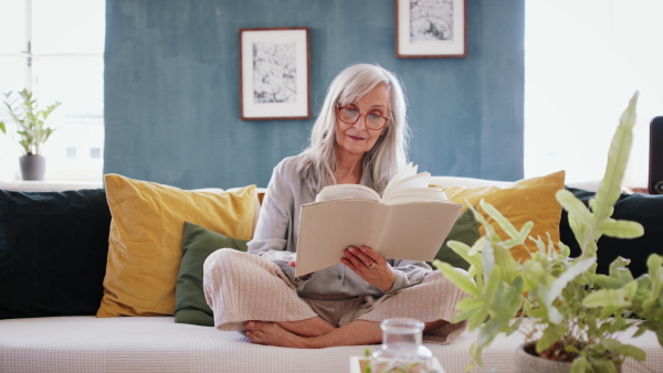 Portrait of senior woman sitting indoors on sofa at home, relaxing and reading book.