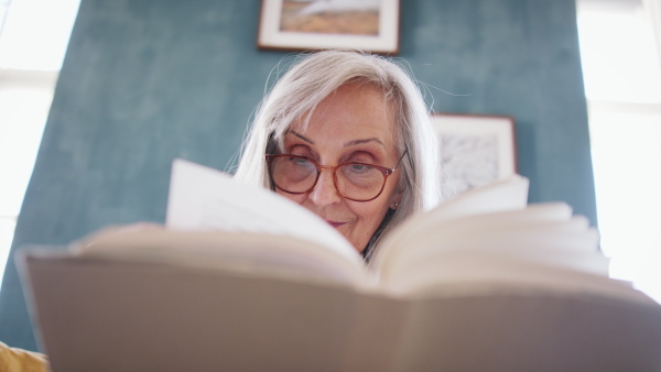 Portrait of senior woman sitting indoors on sofa at home, relaxing and reading book.