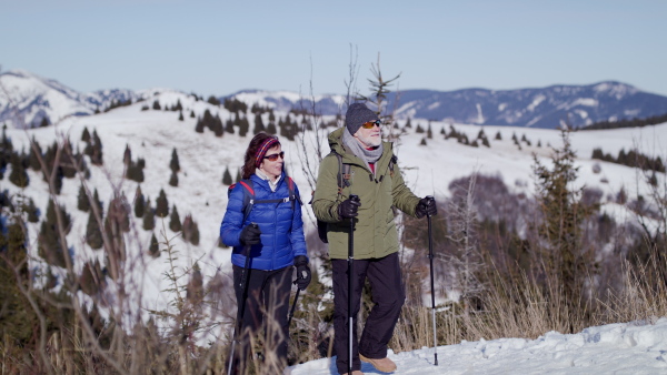 Senior couple with nordic walking poles hiking in snow-covered winter nature, healthy lifestyle concept.