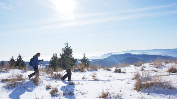 Senior couple with nordic walking poles hiking in snow-covered winter nature, healthy lifestyle concept.