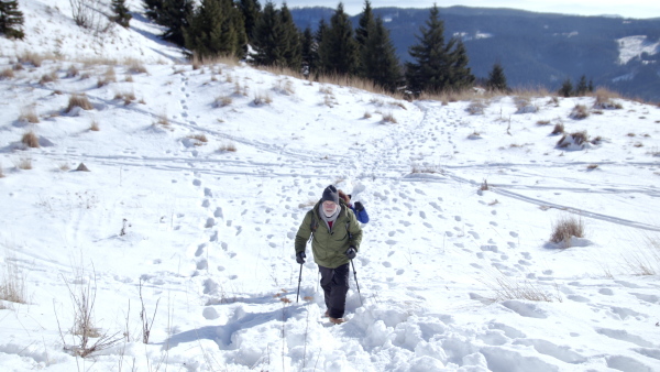 Senior couple with nordic walking poles hiking in snow-covered winter nature, healthy lifestyle concept.