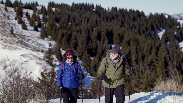 Senior couple with nordic walking poles hiking in snow-covered winter nature, healthy lifestyle concept.