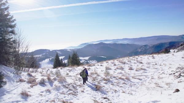 Senior couple with nordic walking poles hiking in snow-covered winter nature, healthy lifestyle concept.