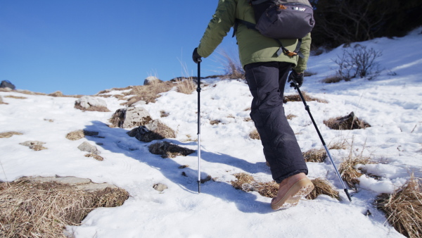 Unrecognizable senior man with nordic poles walking in snow-covered winter nature, rear view.