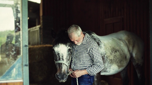 A senior man standing close to a horse in a stable, holding and stroking it. Slow motion.