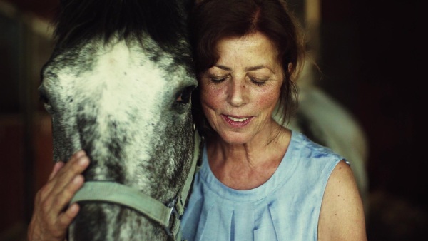 A happy senior woman standing close to a horse in a stable, stroking it. Slow motion.