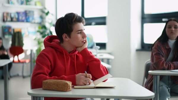 Happy college student sitting in school-desk and looking in camera.