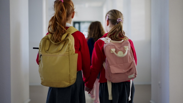 A happy schoolgirl with Down syndrome in uniform walking in scool corridor with classmates, rear view.