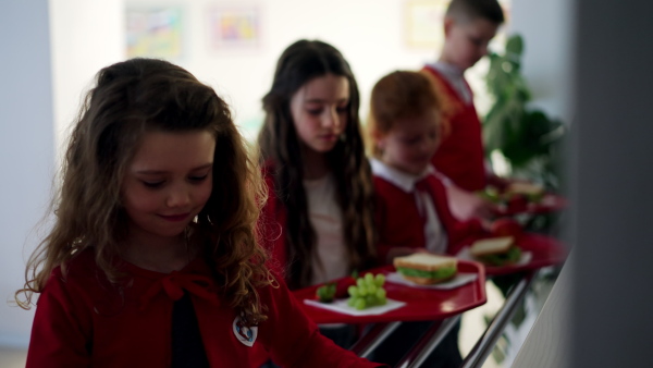 Happy schoolchildren standing in a queue with trays and receiving lunch in school canteen.