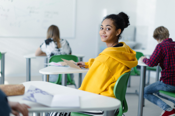 High school students paying attention in a class, sitting in their desks and writing notes, back to school concept. Rear view.