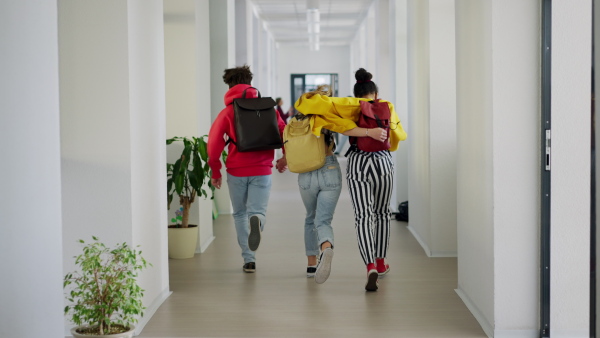 Young high school students holding hands and walking in corridor and at school, a rear view.