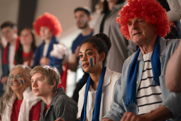 Excited football fans supproting French national team in live soccer match at a stadium.