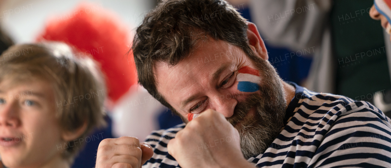 Excited football fans supproting French national team in live soccer match at astadium.