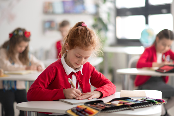 A schoolgirl writing notes in her notebook during lesson in classroom at school