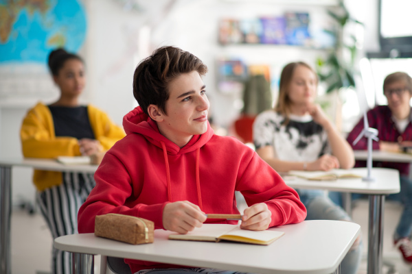 Students paying attention in a class, sitting in their school desks.