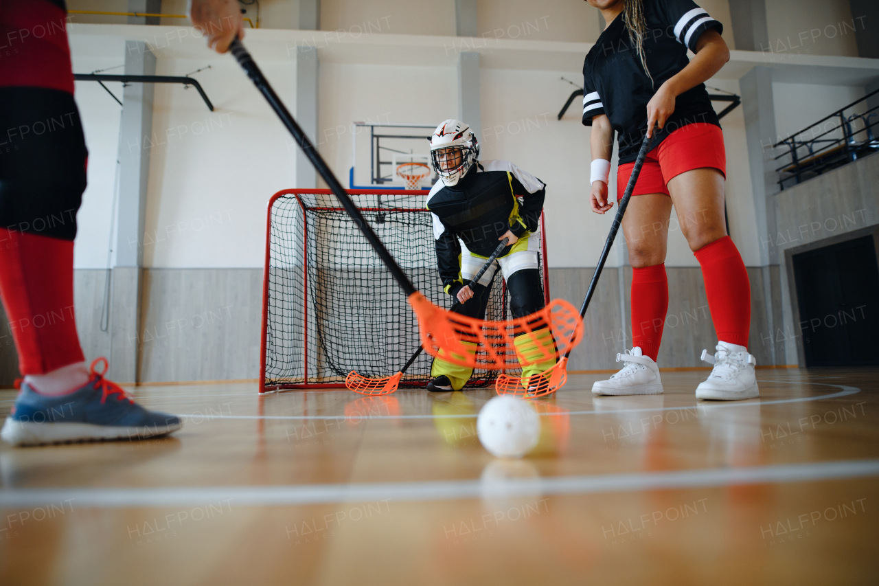 Multigenerational woman floorball team playing together in gym.