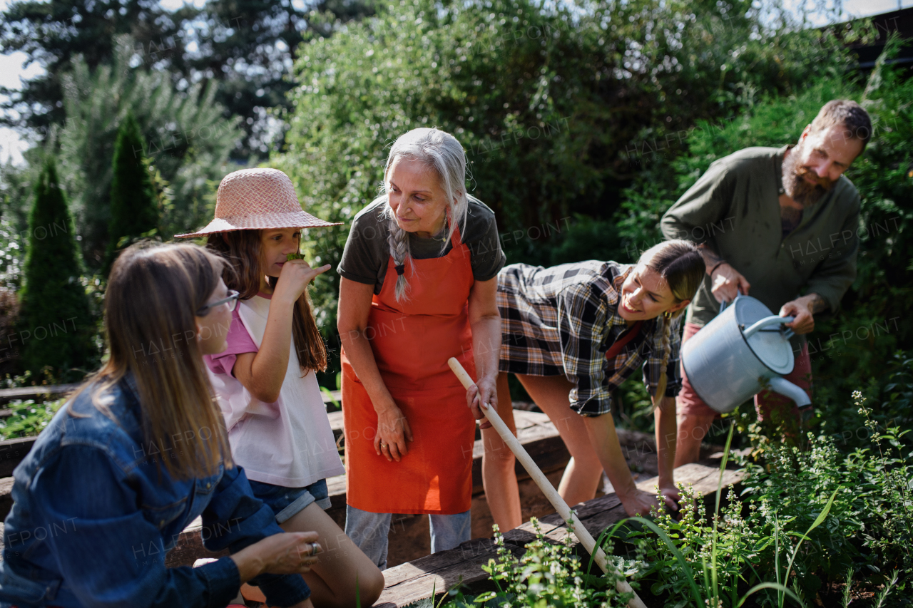 A happy farmers family working with garden tools outdoors at community farm.