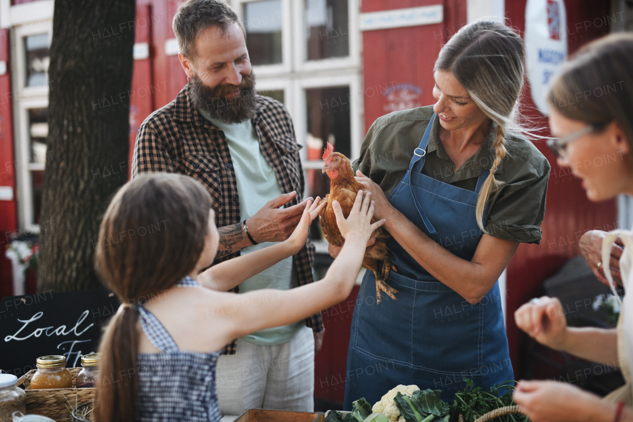 A happy little girl stroking hen outdoors at local family farmers market.