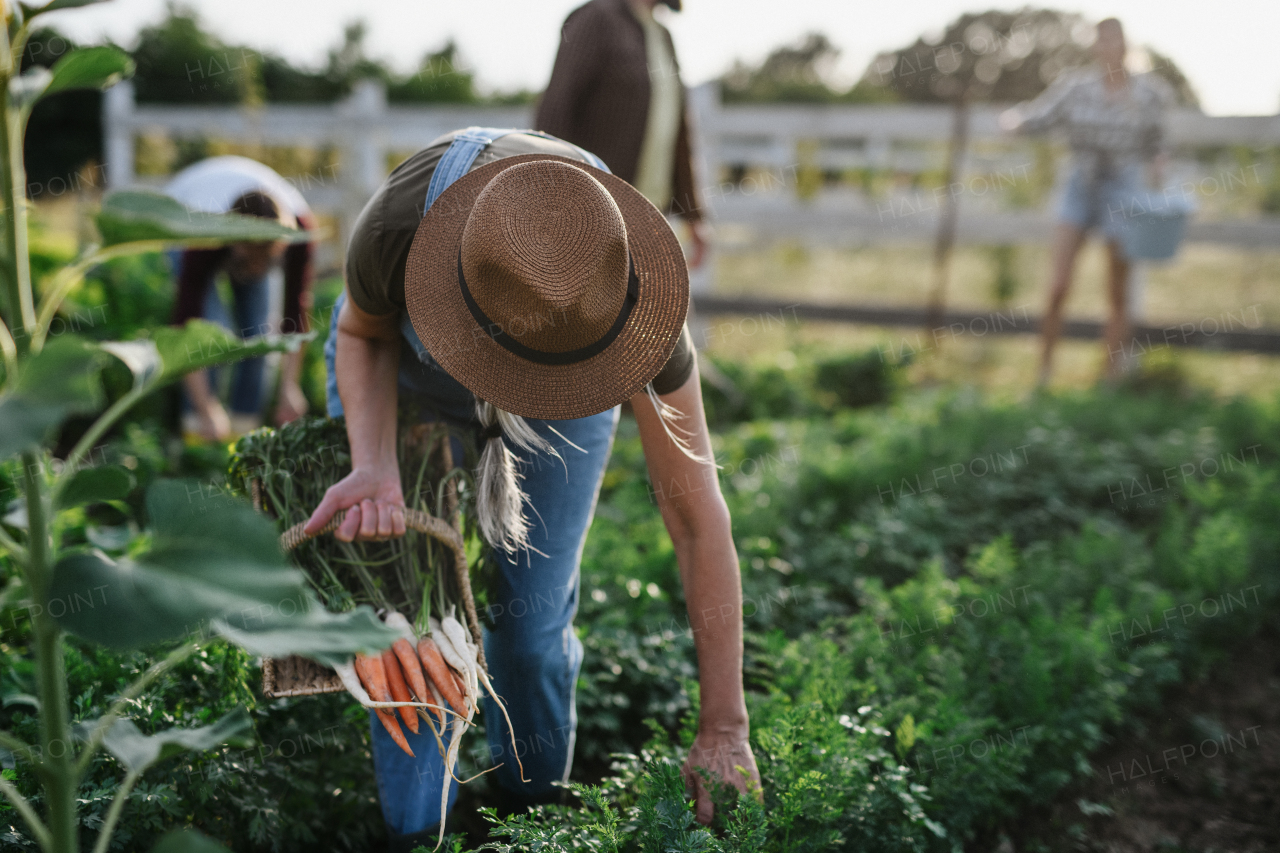 Happy young and old farmers or gardeners working outdoors at a community farm.