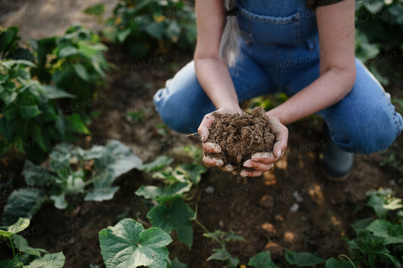 A close up of female famer hands holding soil outdoors at community farm.