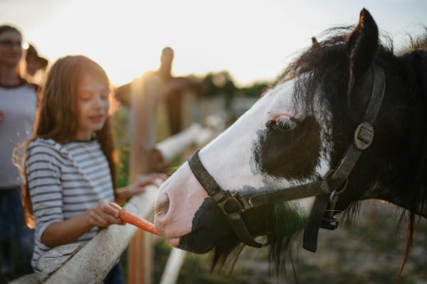 A little girl hugging horse outdoors at community farm.