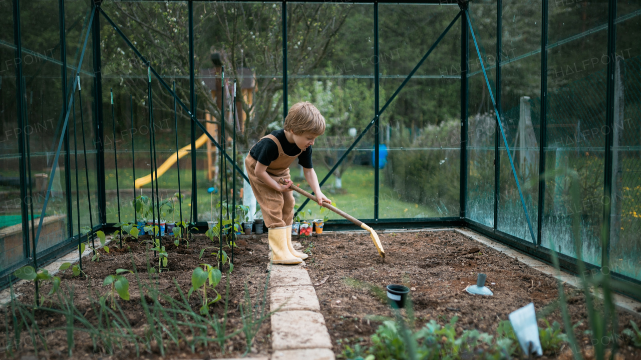 A little boy taking care of greenhouse and plants,digging soil and learn gardening.