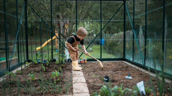 A little boy taking care of greenhouse and plants,digging soil and learn gardening.