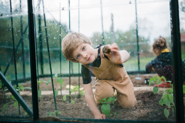 Little children taking care of a greenhouse and plants.