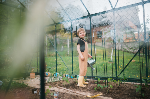 A little boy taking care of pepper plants when watering them in eco greenhouse, learn gardening.