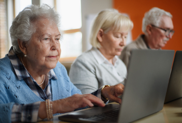 A senior group in retirement home learning together in computer class