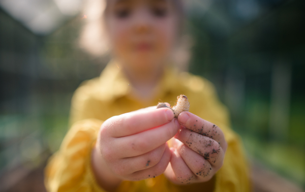 Close-up of little girl holding worm in a garden.