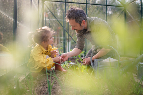 A father learning his little daughter to care about organic plants in eco greenhouse, sustainable lifestyle.