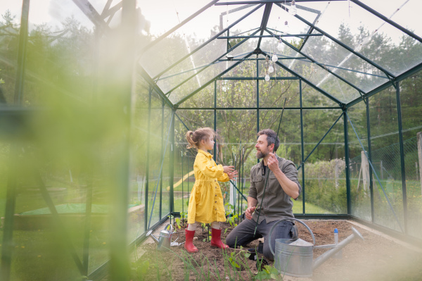 A father learning his little daughter to care about organic plants in eco greenhouse, sustainable lifestyle.