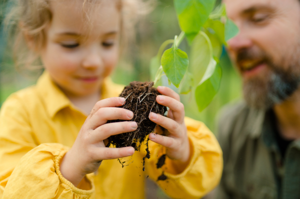 A father learning his little daughter to care about organic plants in eco greenhouse, sustainable lifestyle.