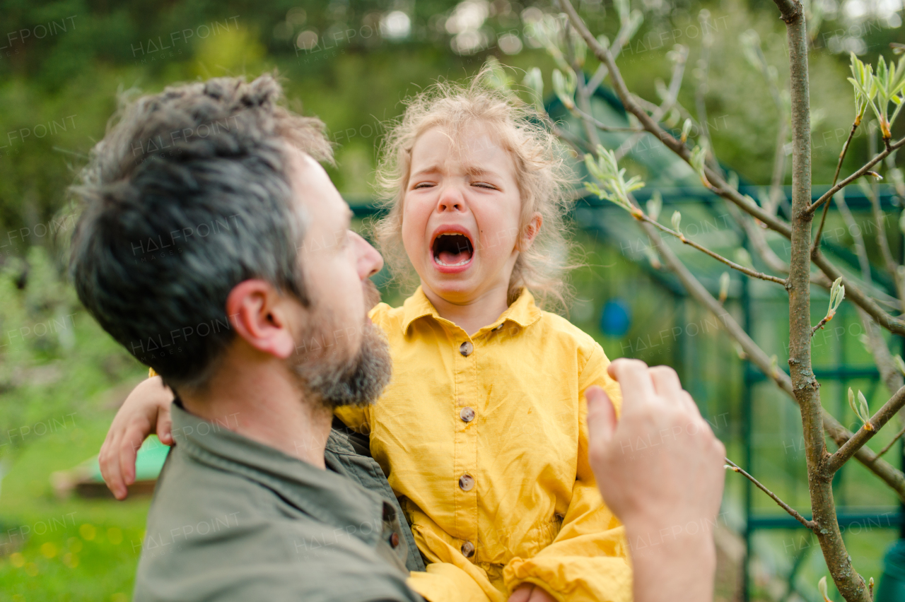 A father holding his crying little daughter and comforting her in garden