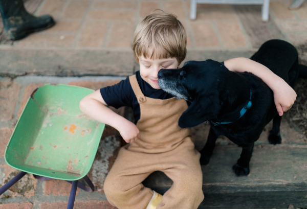 A high angle view of little boy gardener sitting and playing with his dog in garden.