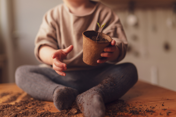 A close-up of child holding pot with plant growing from seeds at home, home gardening.