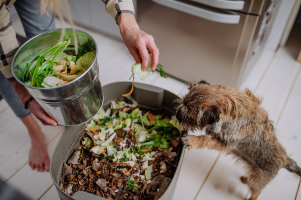 A woman throwing vegetable cuttings in a compost bucket in kitchen.