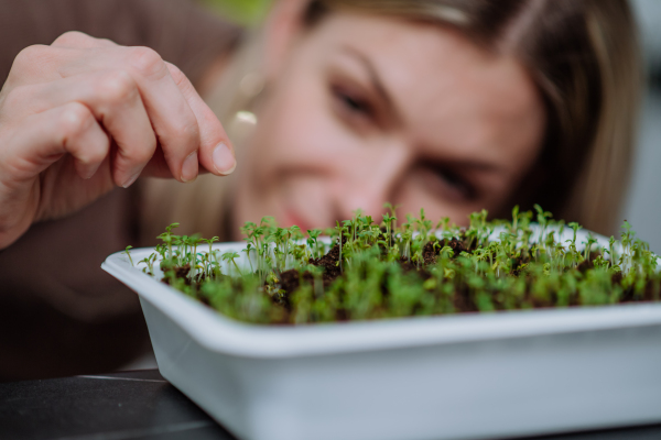 A woman looking at pot with cress growing from seed at home.