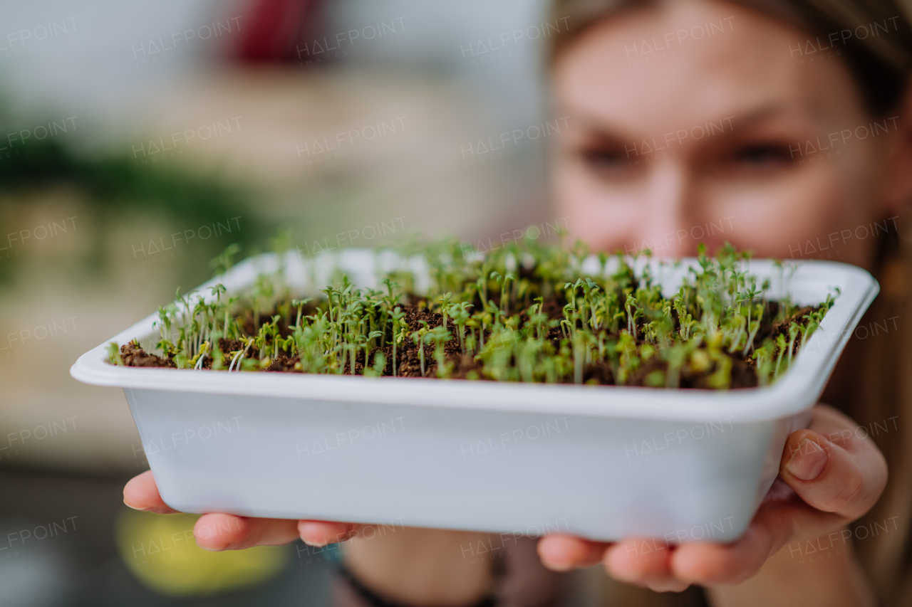 A woman holding pot with cress growing from seed at home.