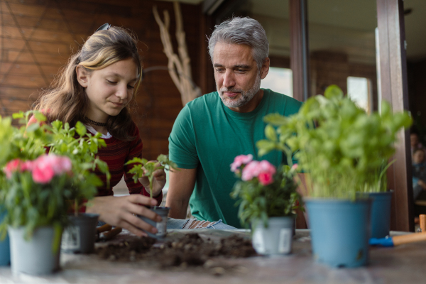 A teenage daughter helping father to plant flowers, home gardening concept