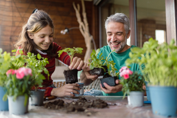 A teenage daughter helping father to plant flowers, home gardening concept