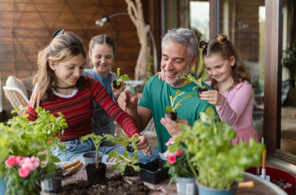 Three daughters helping a father to plant flowers, home gardening concept