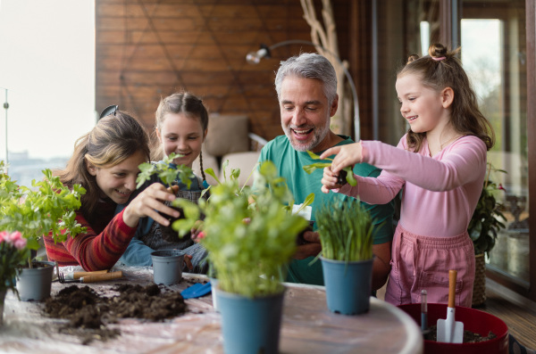 Three daughters helping a father to plant flowers, home gardening concept