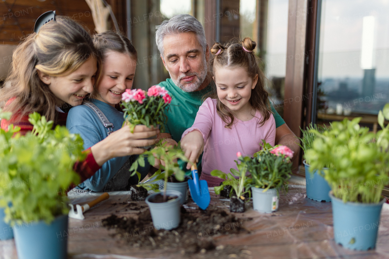 Three daughters helping a father to plant flowers, home gardening concept