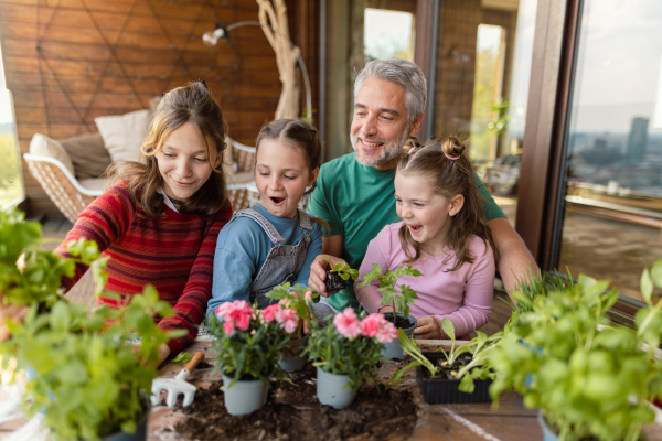 Three daughters helping a father to plant flowers, home gardening concept